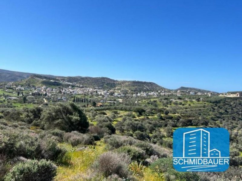 Pitsidia Kreta, Pitsidia: Grundstück am Ortsrand zu verkaufen Grundstück kaufen